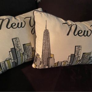 Pillows Decorated Feathers New York  Graphite 100% Cotton